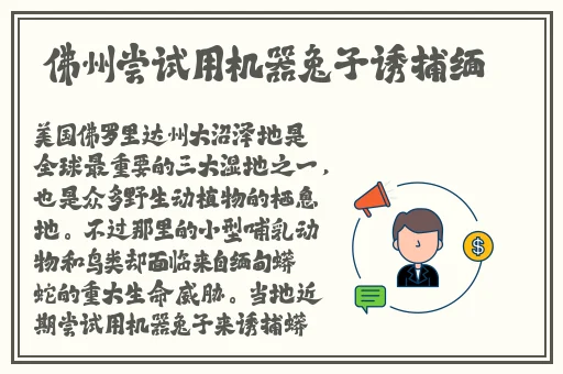 软胶娃娃怎么玩教程视频播放